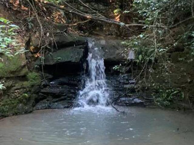 #386 - Chácara para Venda em Araçoiaba da Serra - SP - 1