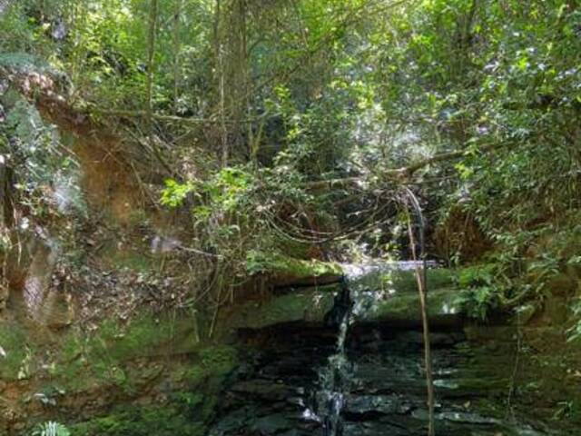 #386 - Chácara para Venda em Araçoiaba da Serra - SP - 2