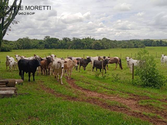 #418 - Chácara para Venda em Araçoiaba da Serra - SP - 1