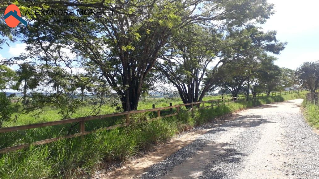 Terreno à venda, 1000m² - Foto 13