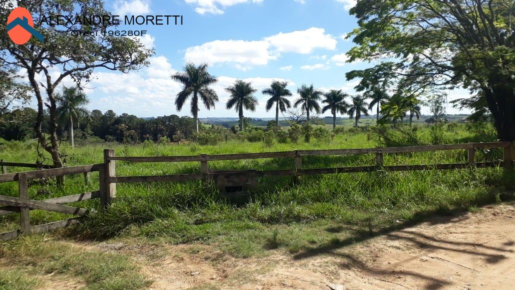 Terreno à venda, 1000m² - Foto 2