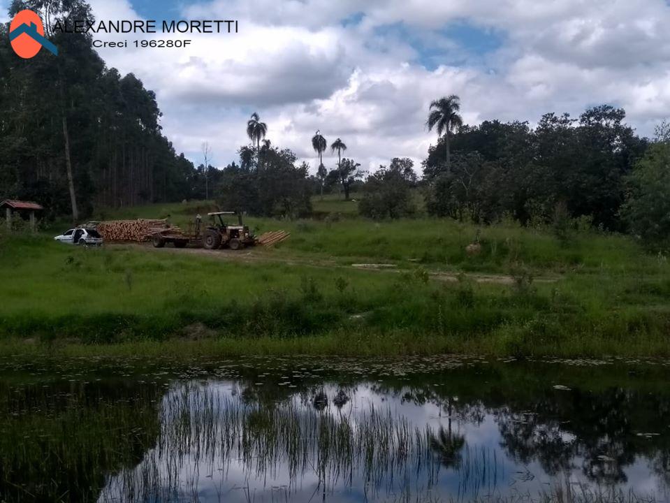 Terreno à venda, 85000m² - Foto 2