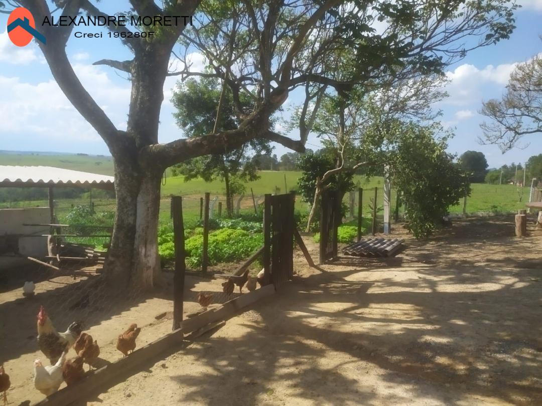 Fazenda à venda e aluguel com 2 quartos, 1800m² - Foto 23