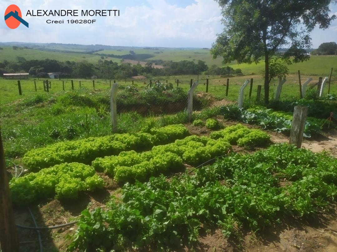 Fazenda à venda e aluguel com 2 quartos, 1800m² - Foto 24