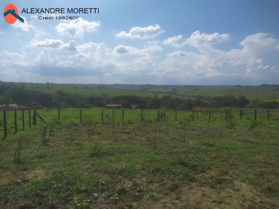 Fazenda à venda e aluguel com 2 quartos, 1800m² - Foto 32