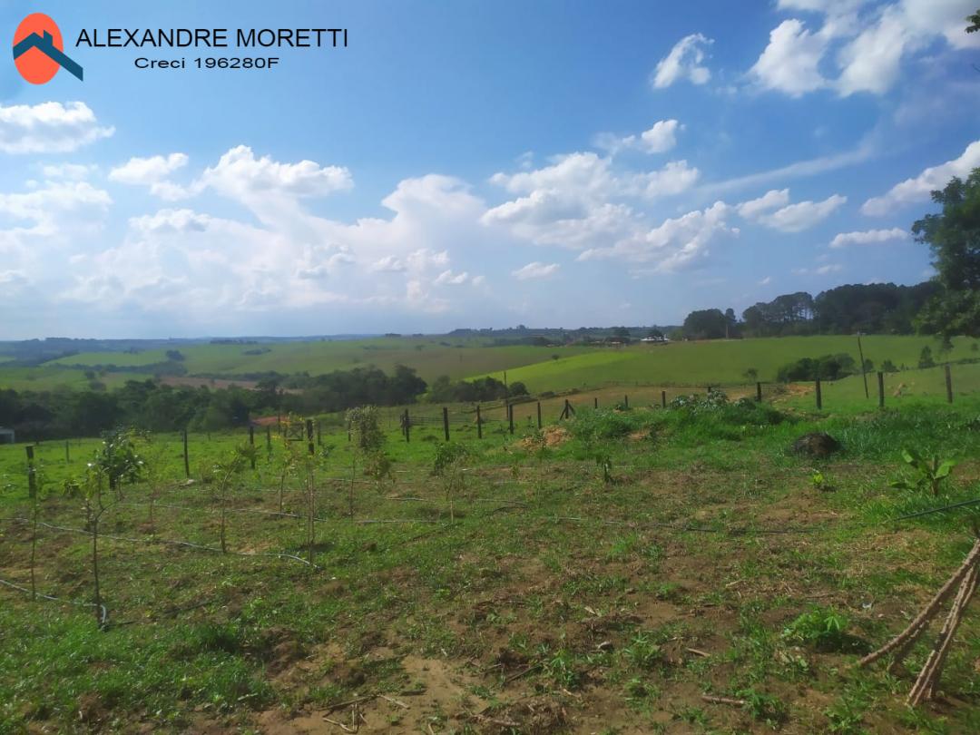 Fazenda à venda e aluguel com 2 quartos, 1800m² - Foto 30