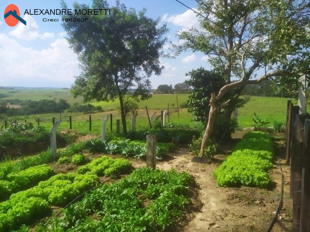 Fazenda à venda e aluguel com 2 quartos, 1800m² - Foto 25