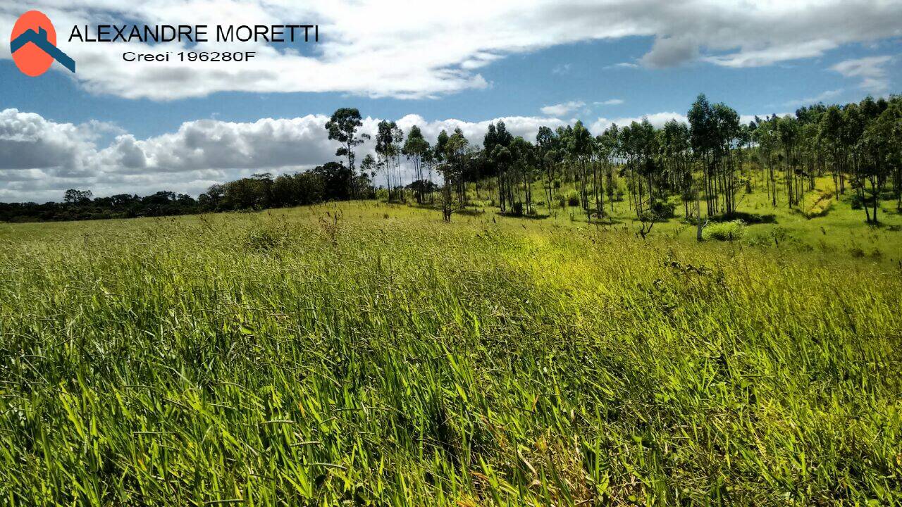 Terreno à venda, 2000m² - Foto 6