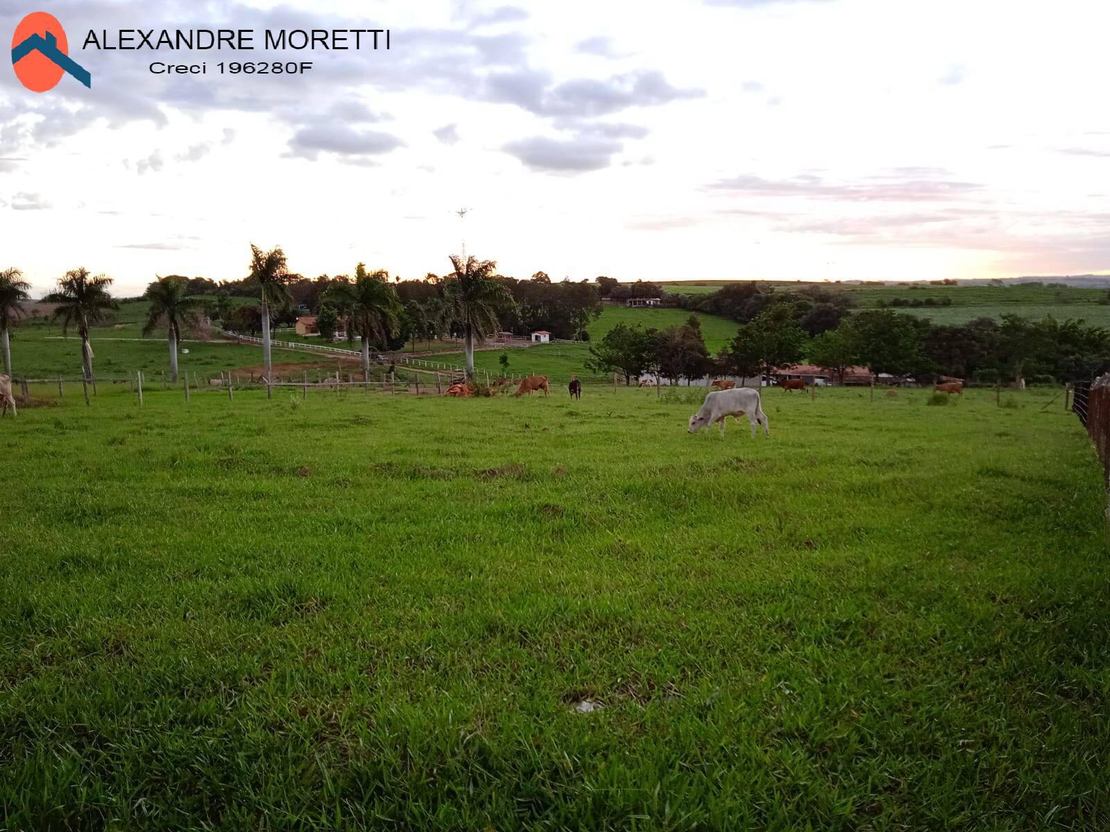 Terreno à venda, 1750m² - Foto 2