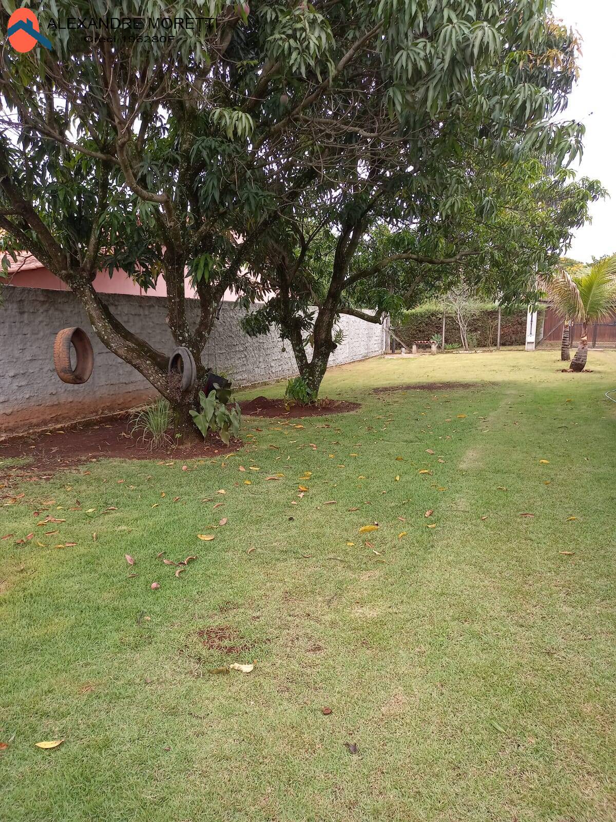 Fazenda à venda com 2 quartos, 800m² - Foto 2