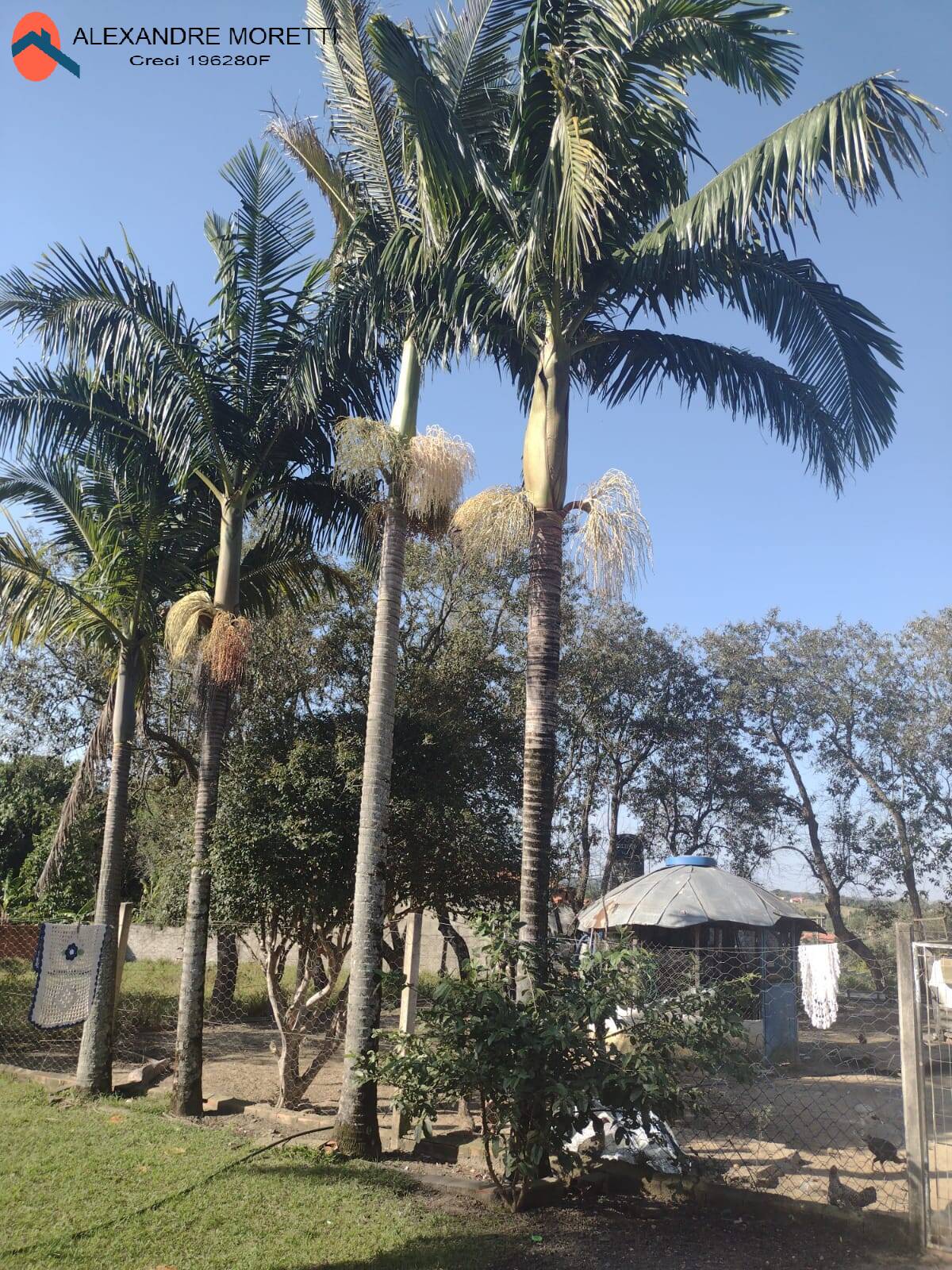 Fazenda à venda com 3 quartos, 150m² - Foto 21