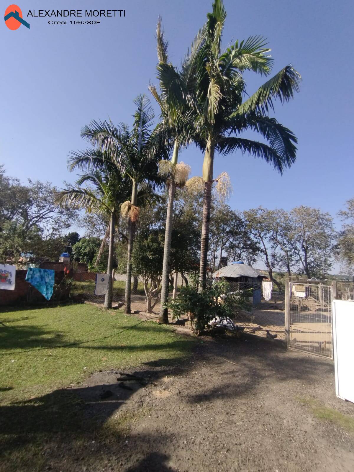 Fazenda à venda com 3 quartos, 150m² - Foto 11