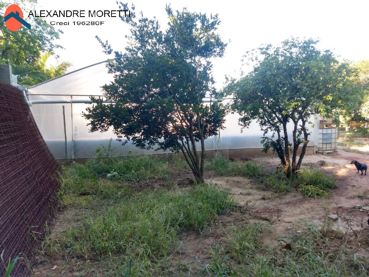 Fazenda à venda com 2 quartos, 1500m² - Foto 2