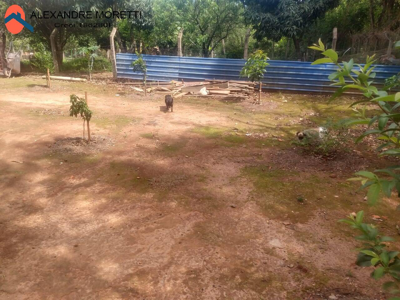 Fazenda à venda com 2 quartos, 1500m² - Foto 18