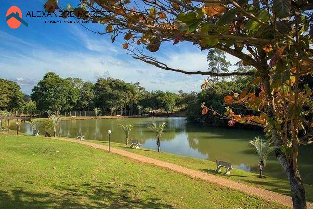 Terreno à venda, 200m² - Foto 6