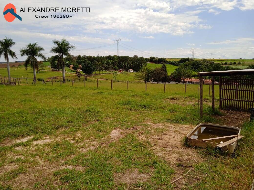 Fazenda à venda e aluguel com 2 quartos, 1800m² - Foto 39