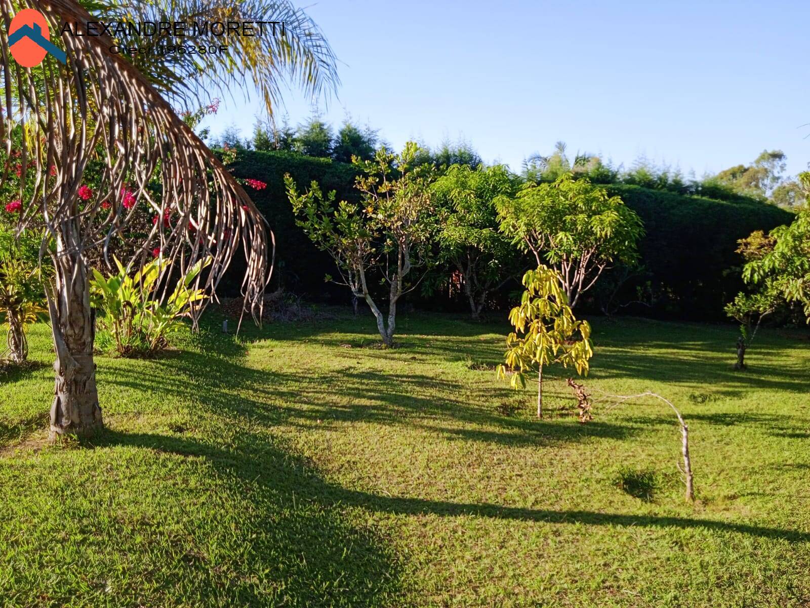 Fazenda à venda com 4 quartos, 384m² - Foto 22