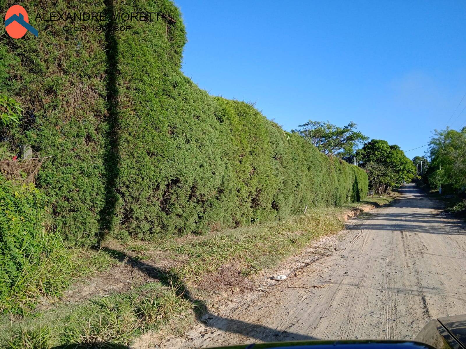 Fazenda à venda com 4 quartos, 384m² - Foto 27