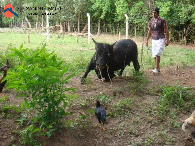 Fazenda à venda e aluguel com 16 quartos, 1000m² - Foto 15