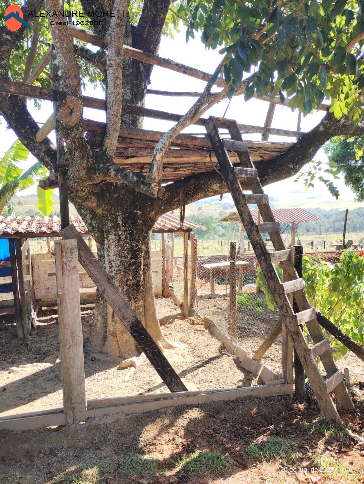 Fazenda à venda e aluguel com 2 quartos, 1800m² - Foto 19