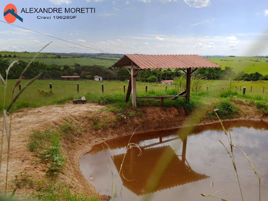 Fazenda à venda e aluguel com 2 quartos, 1800m² - Foto 36