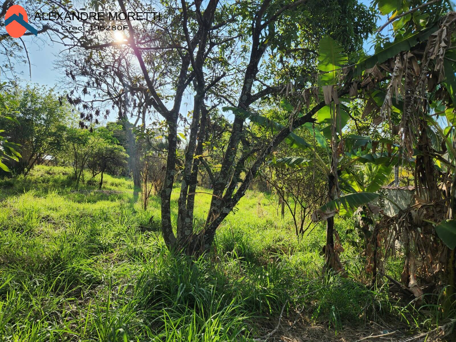 Fazenda à venda com 2 quartos, 100m² - Foto 5