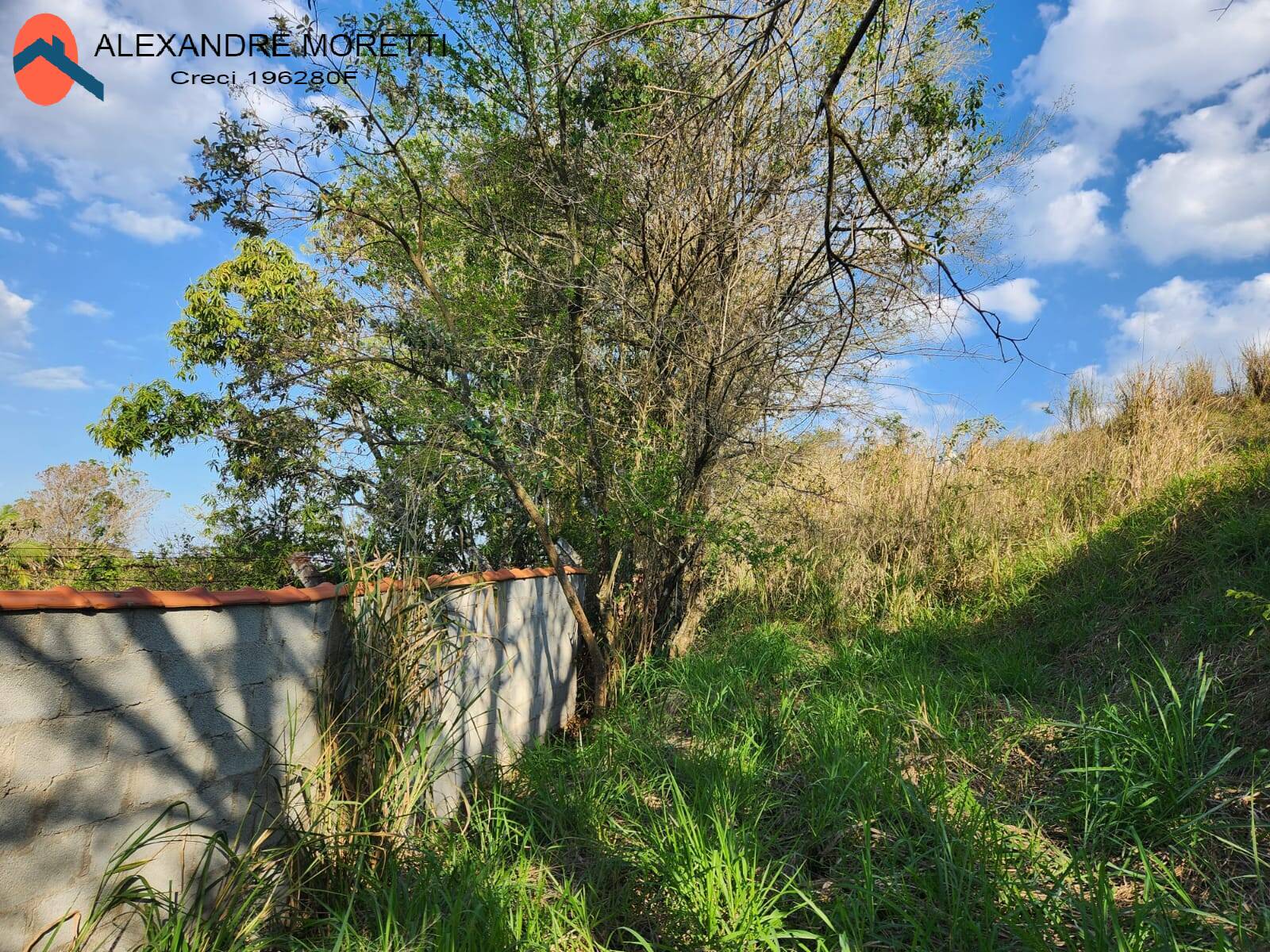 Fazenda à venda com 2 quartos, 100m² - Foto 6