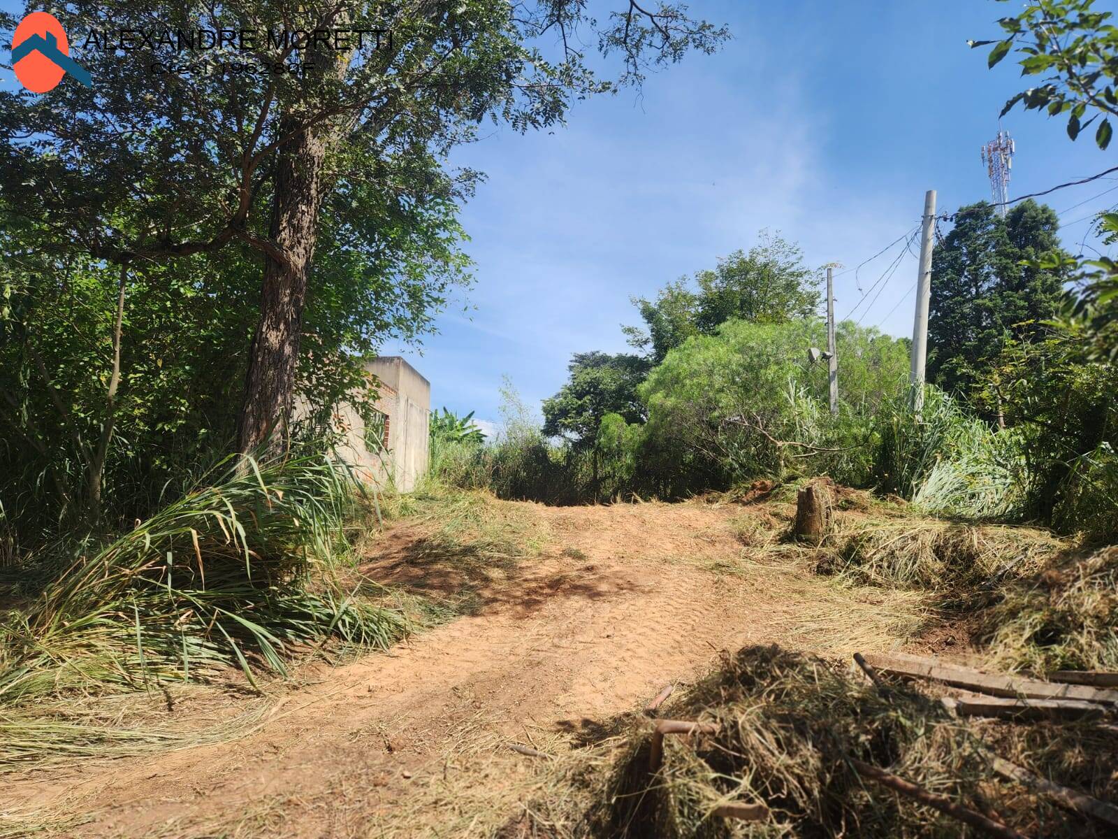 Fazenda à venda com 2 quartos, 100m² - Foto 9