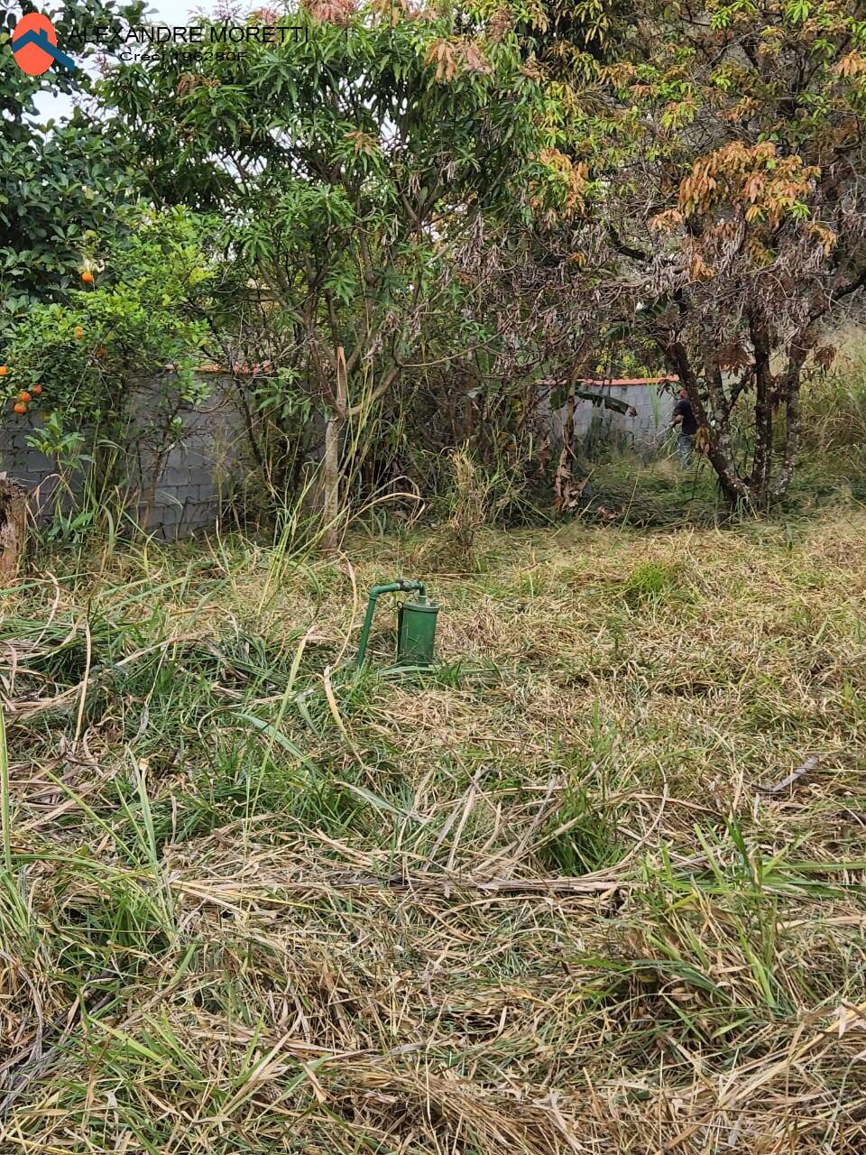 Fazenda à venda com 2 quartos, 100m² - Foto 10