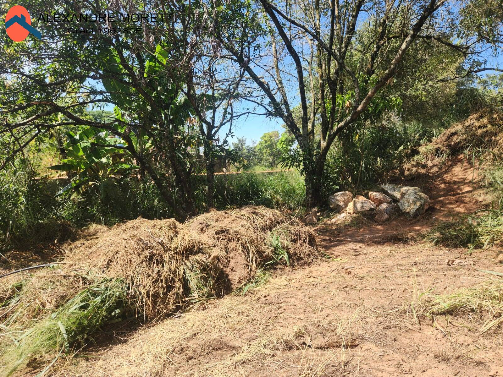 Fazenda à venda com 2 quartos, 100m² - Foto 11