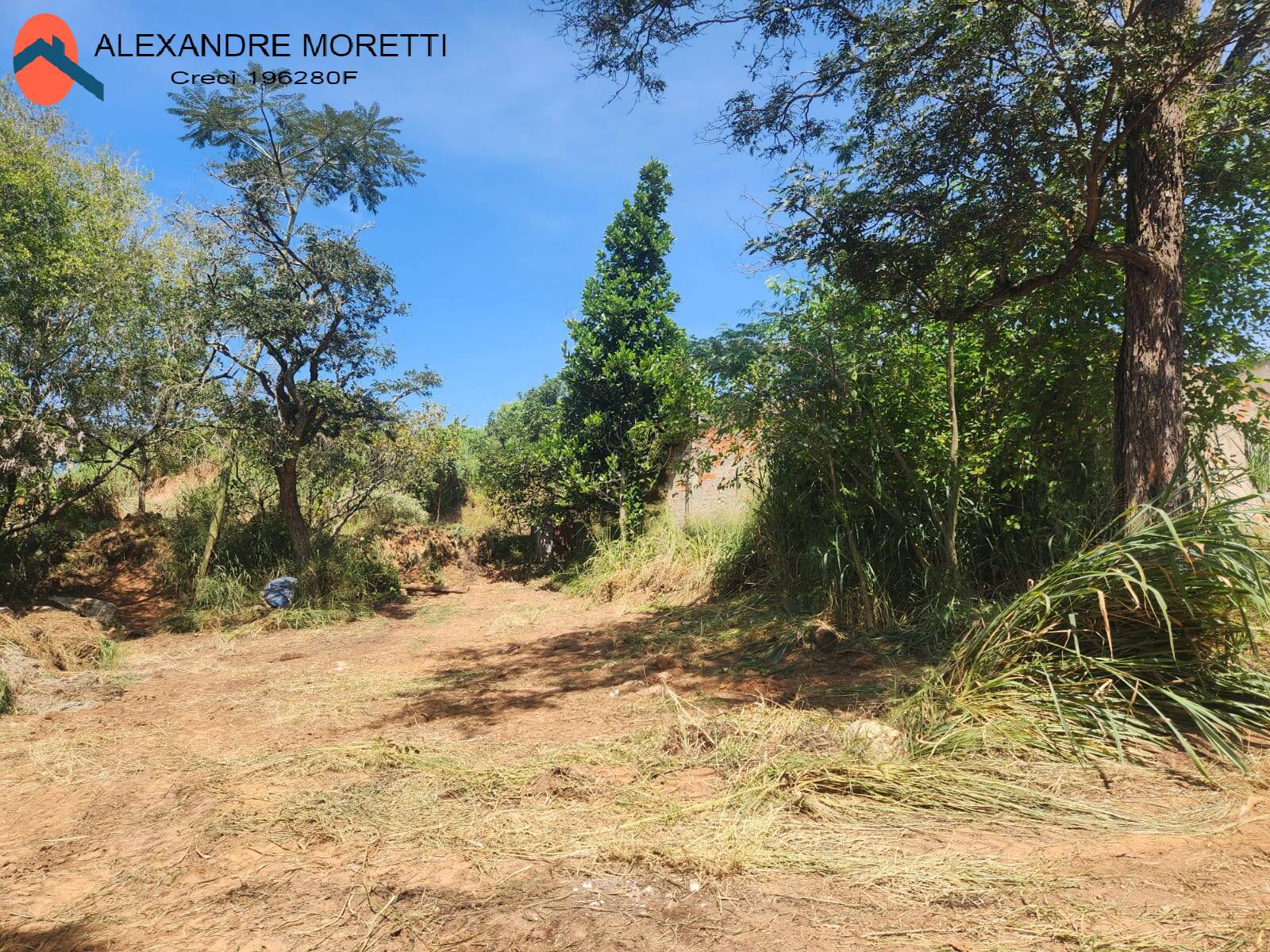 Fazenda à venda com 2 quartos, 100m² - Foto 15