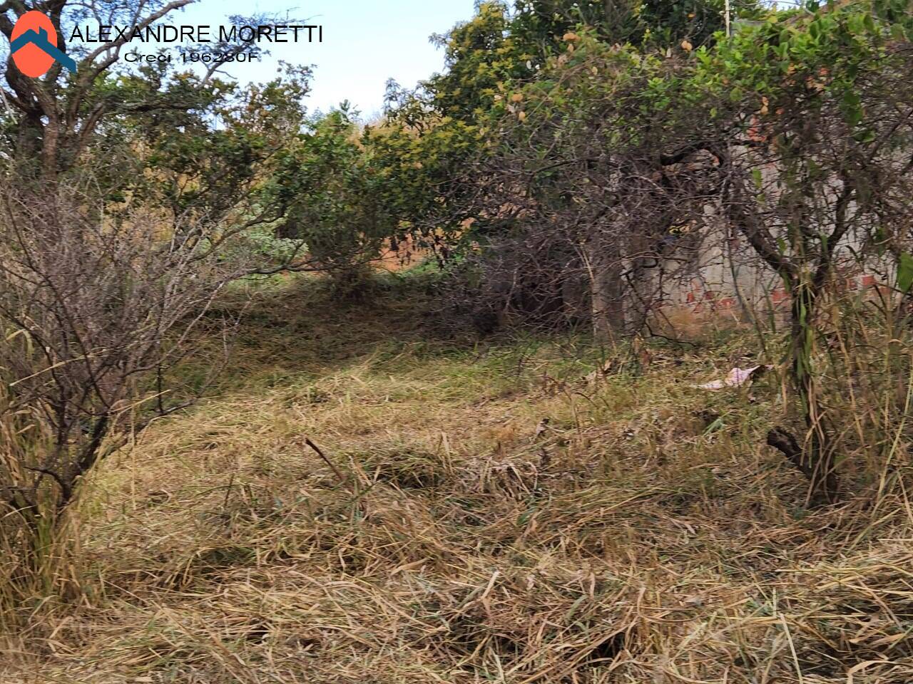 Fazenda à venda com 2 quartos, 100m² - Foto 20