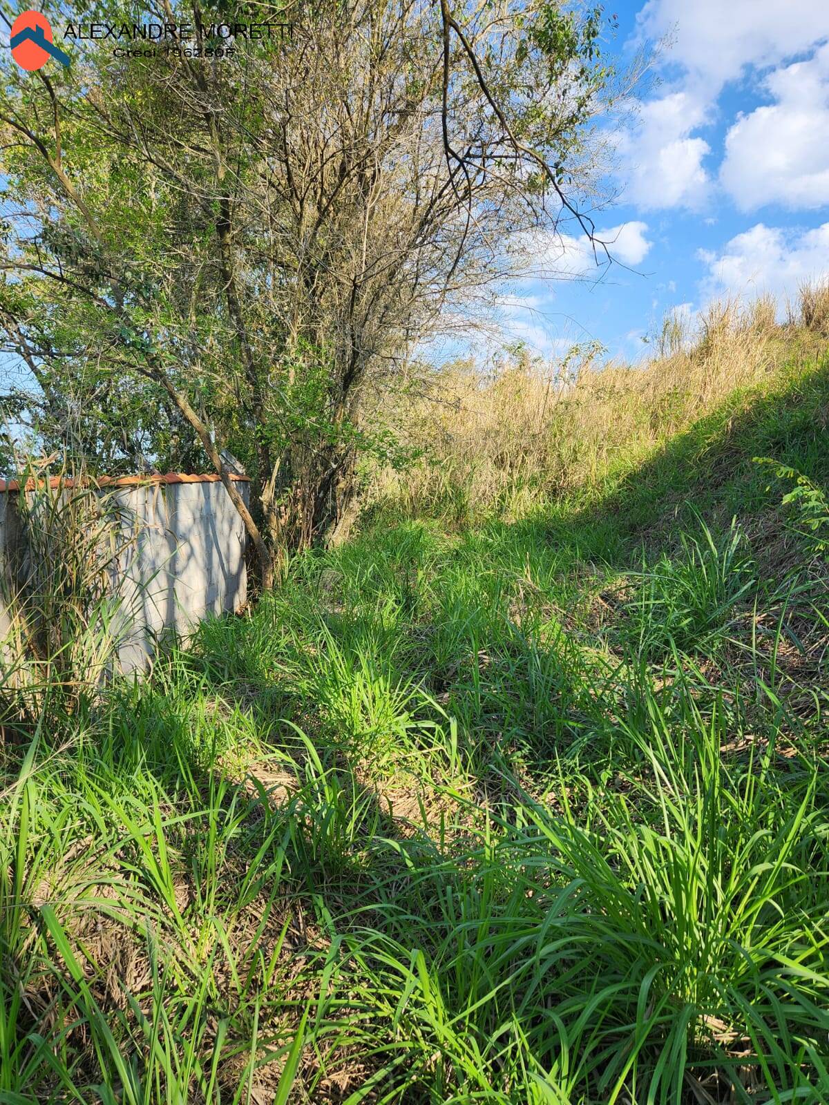 Fazenda à venda com 2 quartos, 100m² - Foto 21