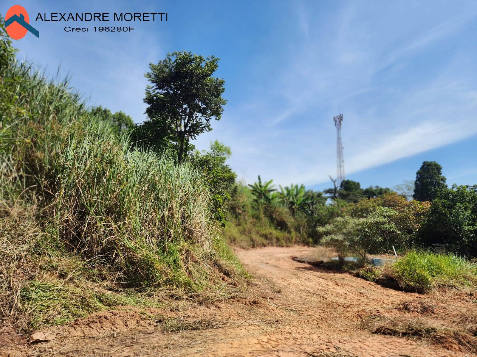 Fazenda à venda com 2 quartos, 100m² - Foto 19