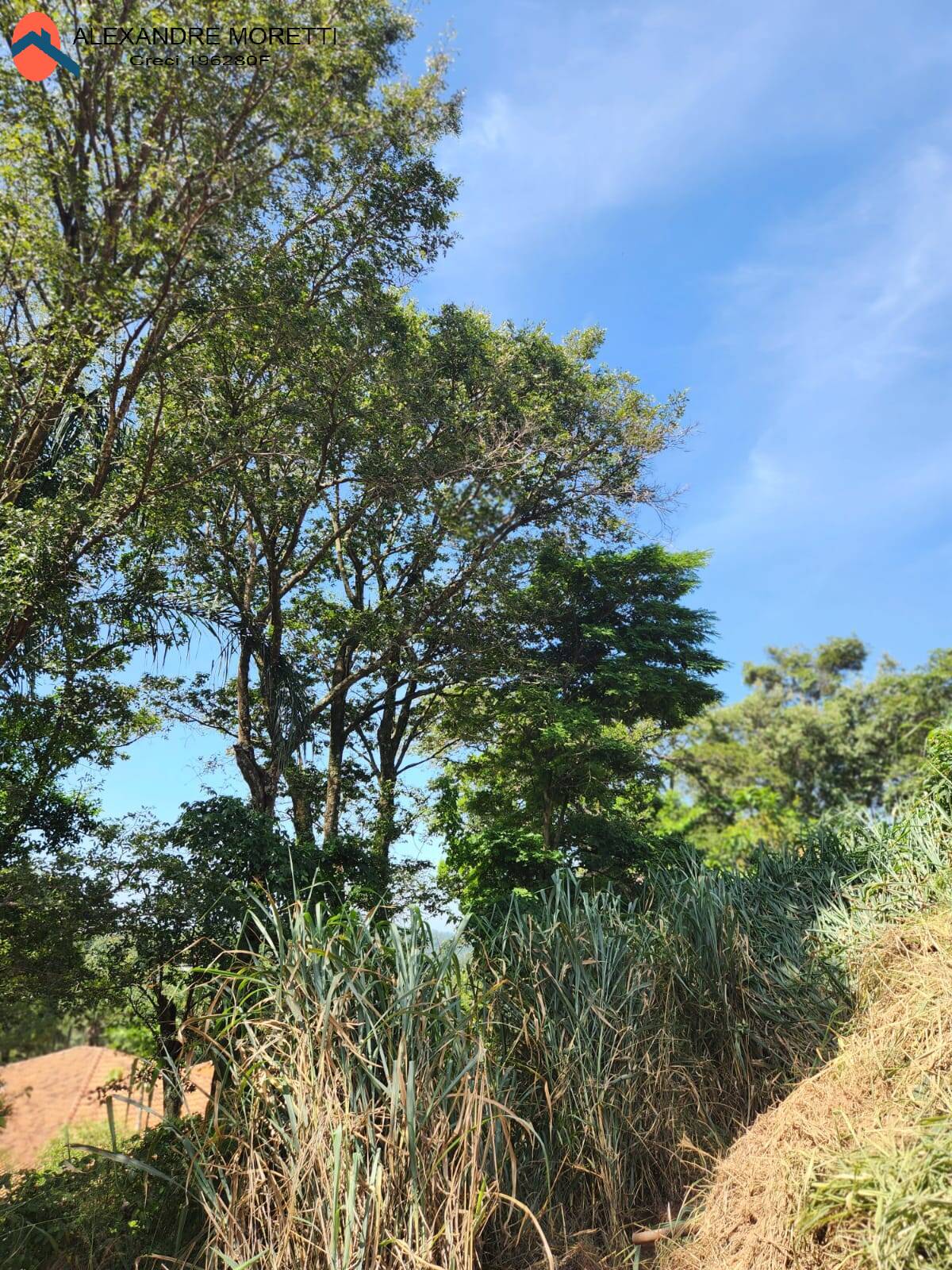 Fazenda à venda com 2 quartos, 100m² - Foto 23