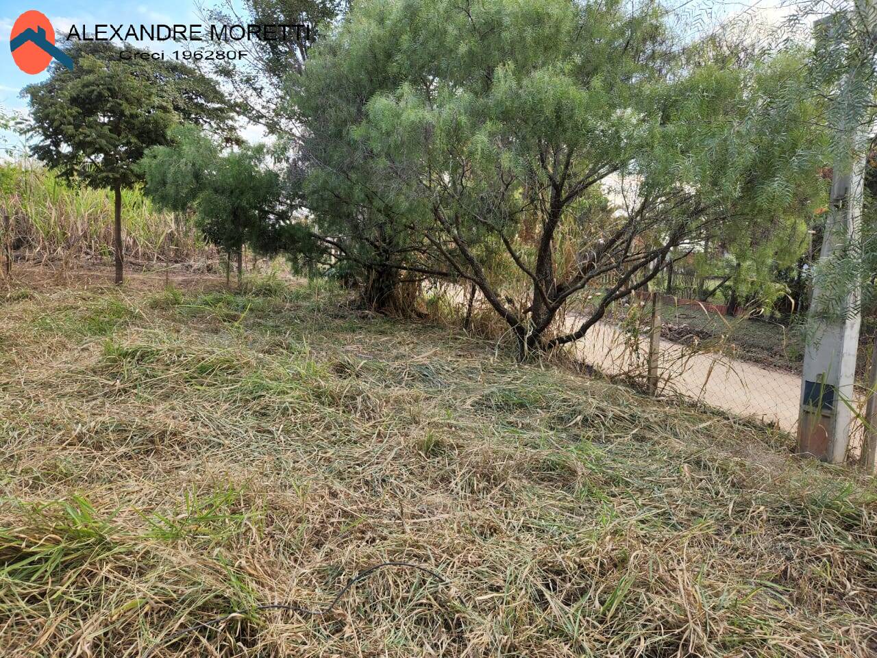 Fazenda à venda com 2 quartos, 100m² - Foto 22