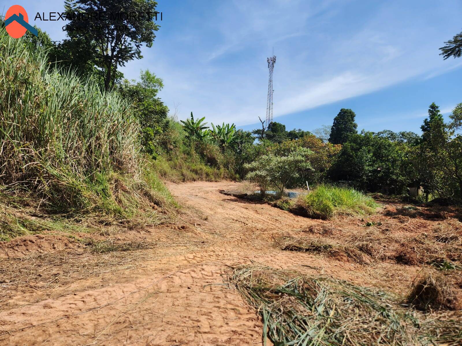 Fazenda à venda com 2 quartos, 100m² - Foto 25