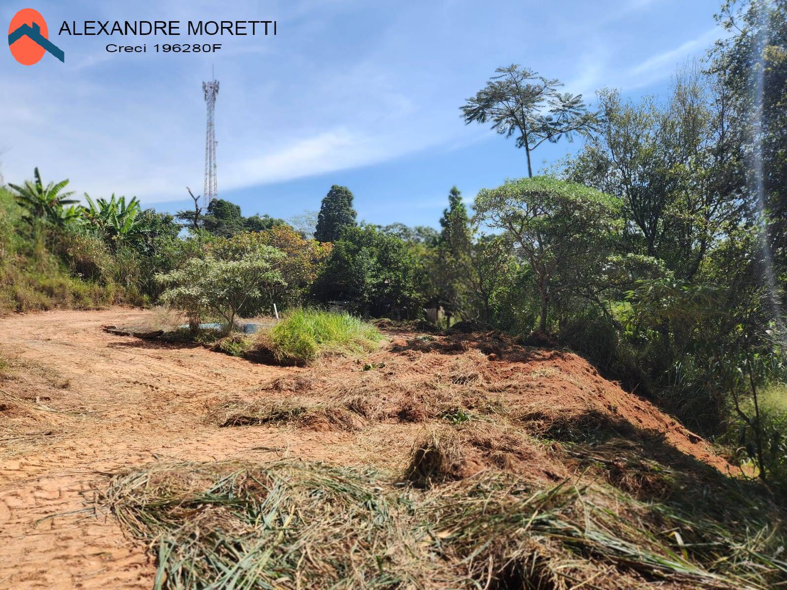 Fazenda à venda com 2 quartos, 100m² - Foto 24