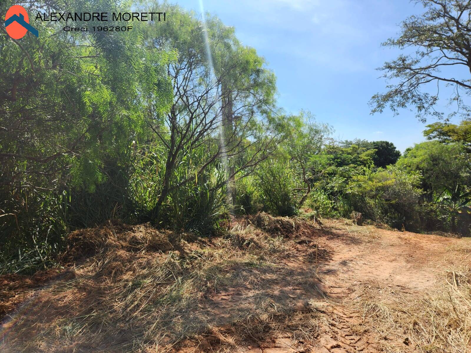 Fazenda à venda com 2 quartos, 100m² - Foto 28