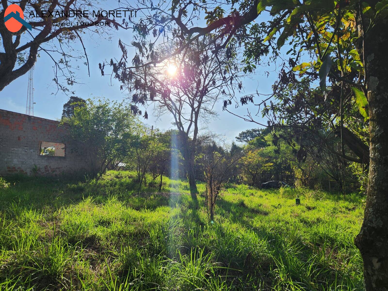 Fazenda à venda com 2 quartos, 100m² - Foto 27