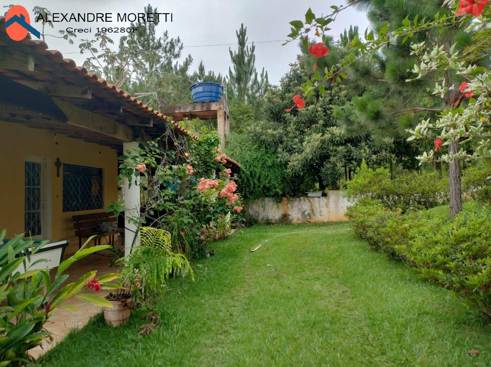 Fazenda à venda com 3 quartos, 5000m² - Foto 4