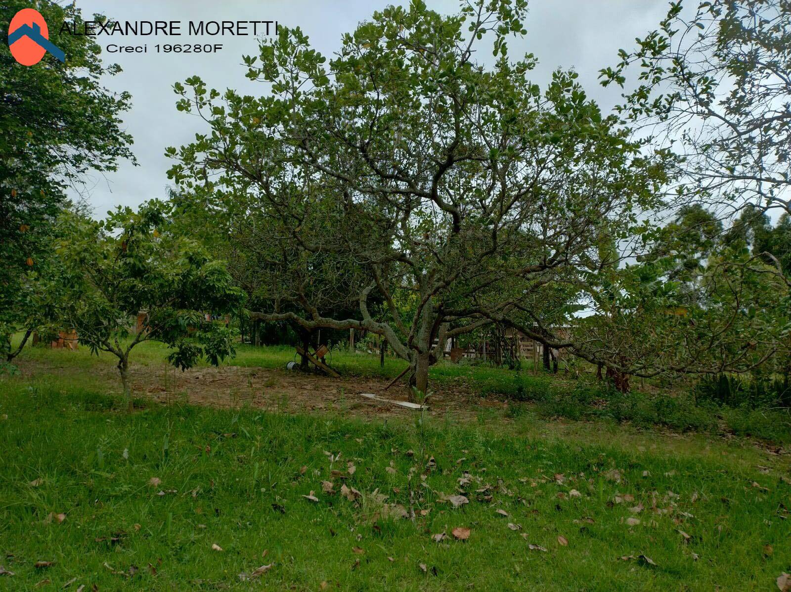 Fazenda à venda com 3 quartos, 5000m² - Foto 8