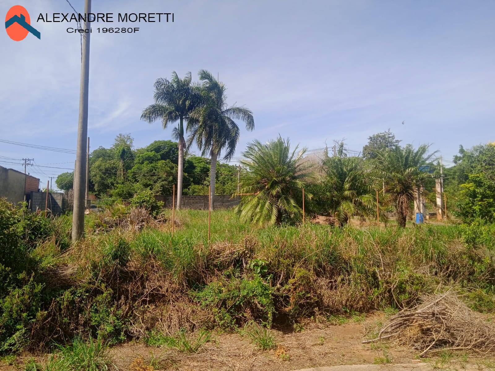 Fazenda à venda, 30000m² - Foto 15