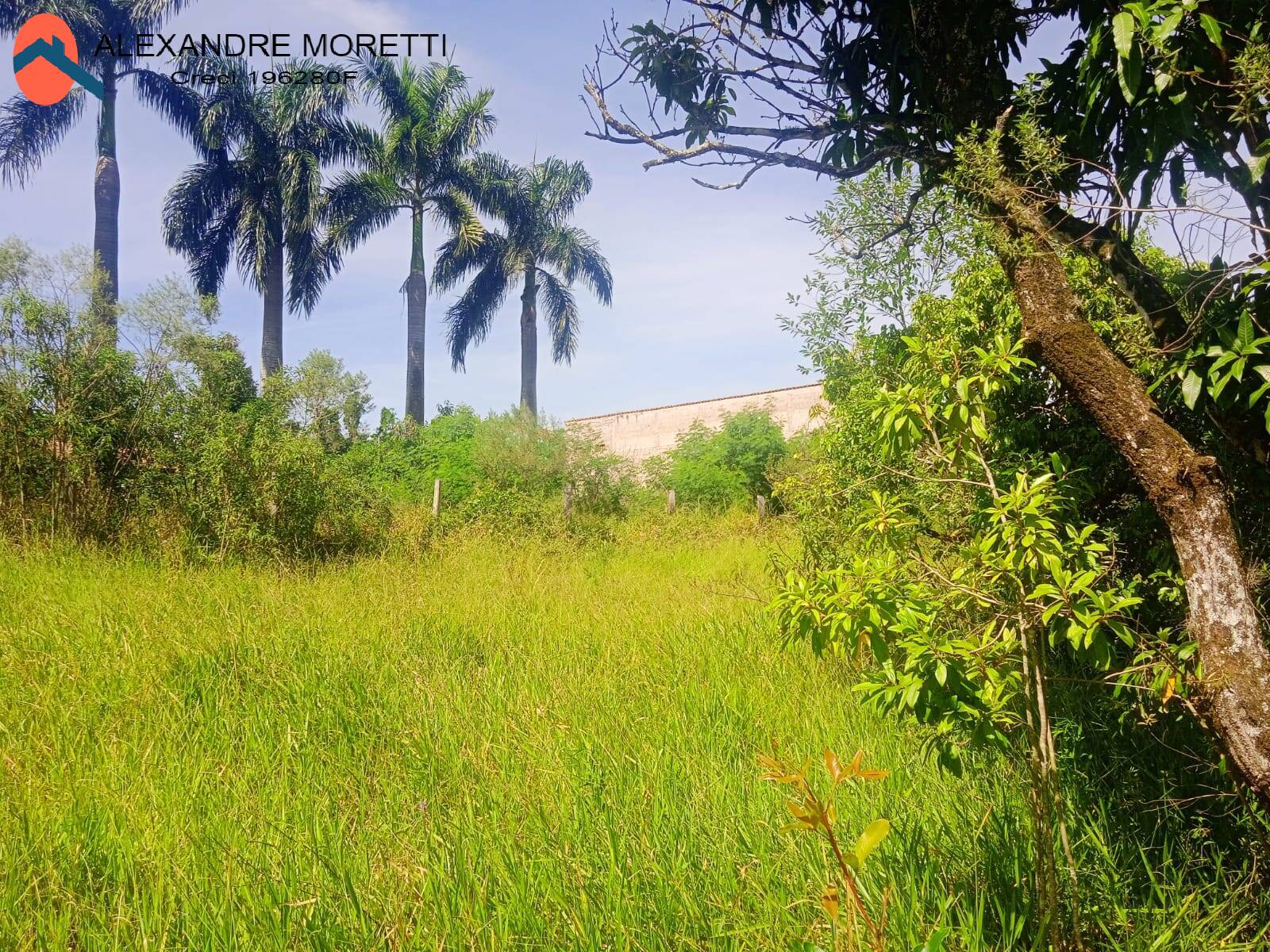 Fazenda à venda, 30000m² - Foto 27