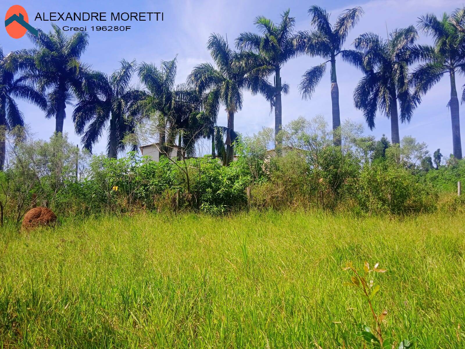 Fazenda à venda, 30000m² - Foto 29