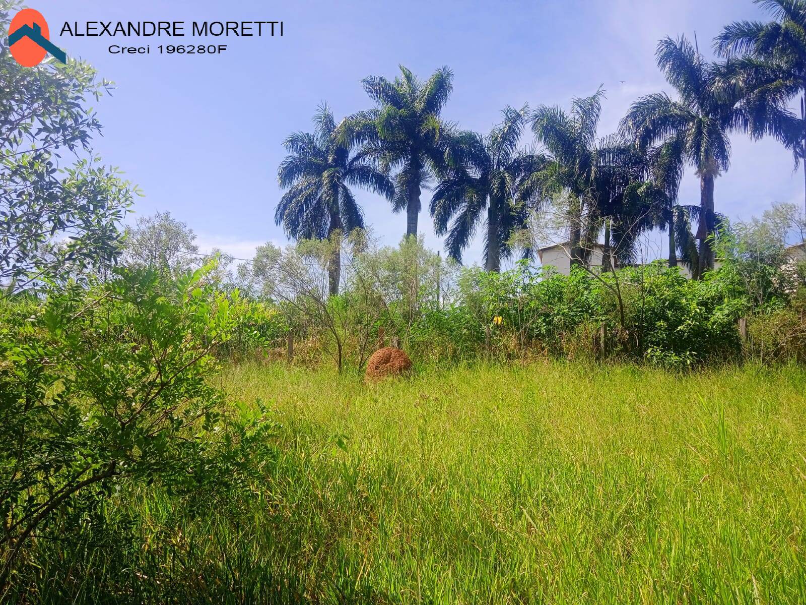 Fazenda à venda, 30000m² - Foto 30