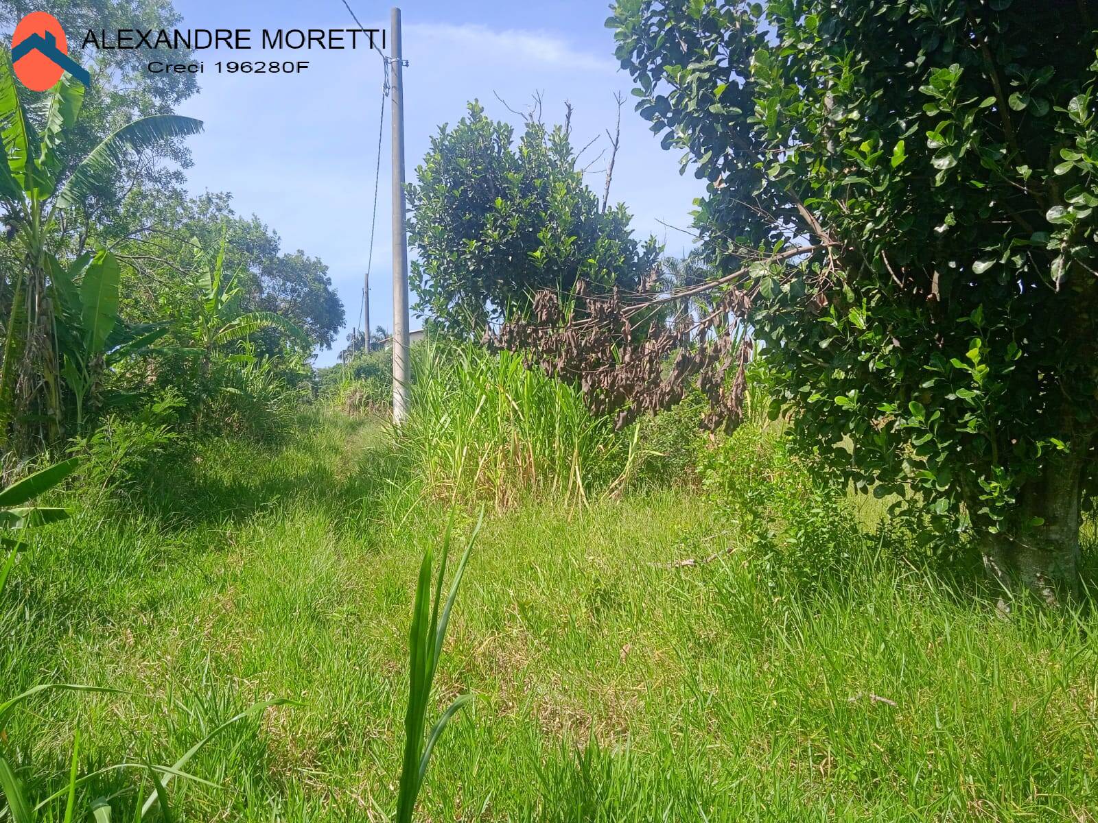 Fazenda à venda, 30000m² - Foto 31