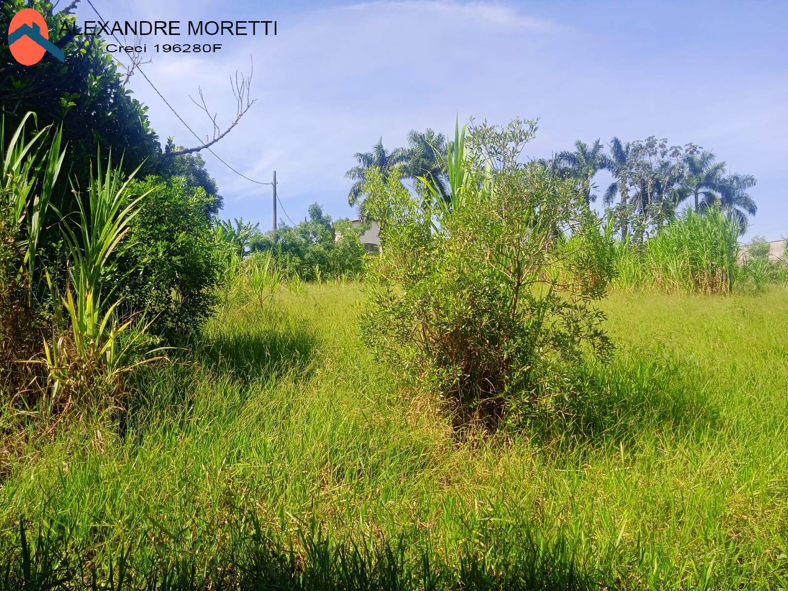 Fazenda à venda, 30000m² - Foto 32