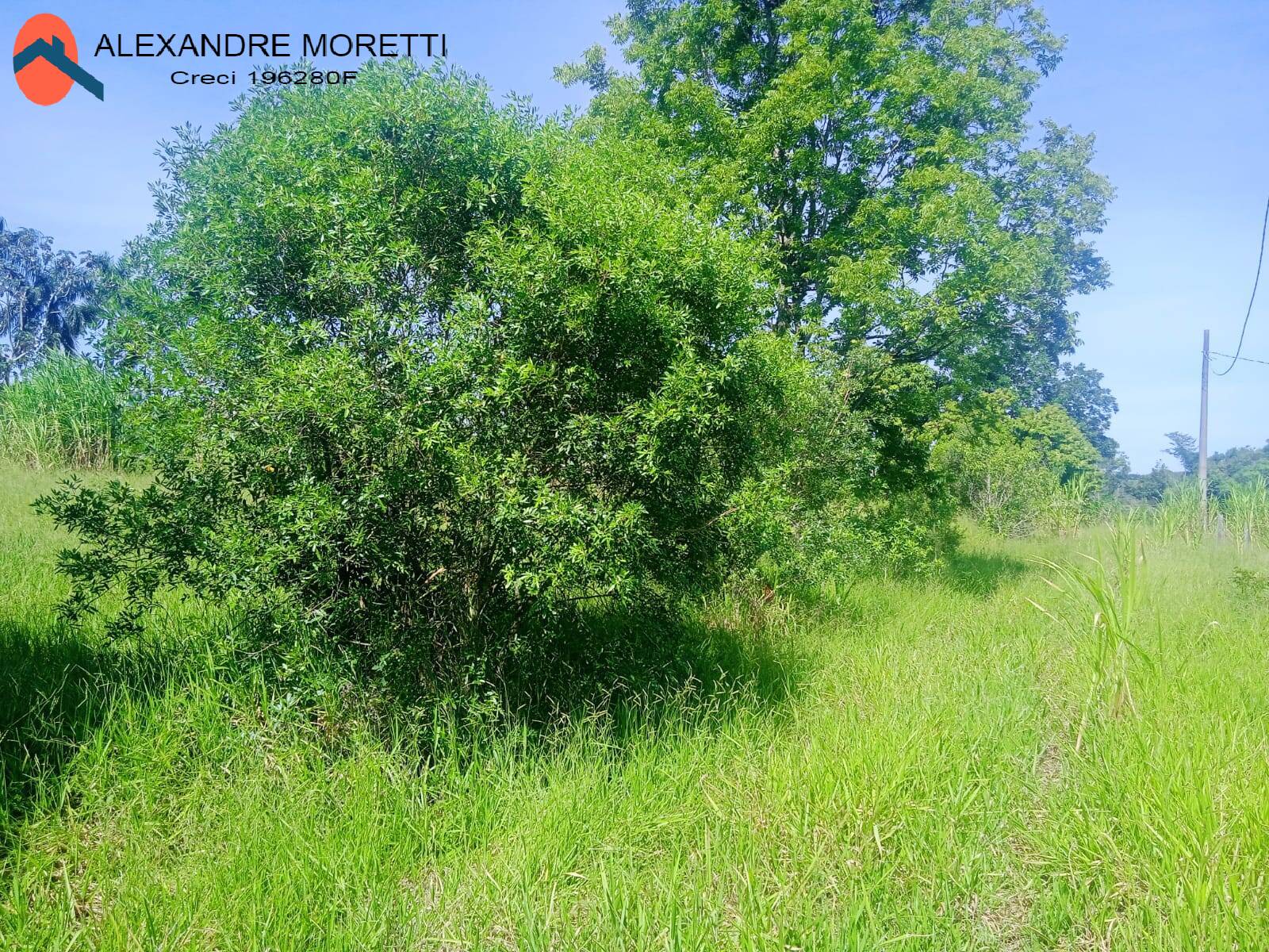 Fazenda à venda, 30000m² - Foto 36