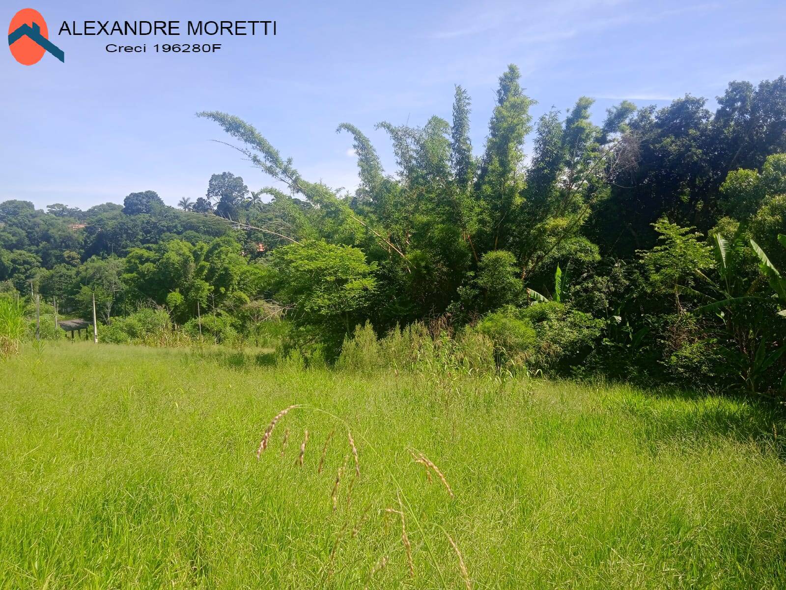 Fazenda à venda, 30000m² - Foto 38